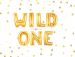 Wild One Balloons