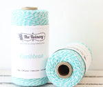 Teal Stripe Twinery Twine