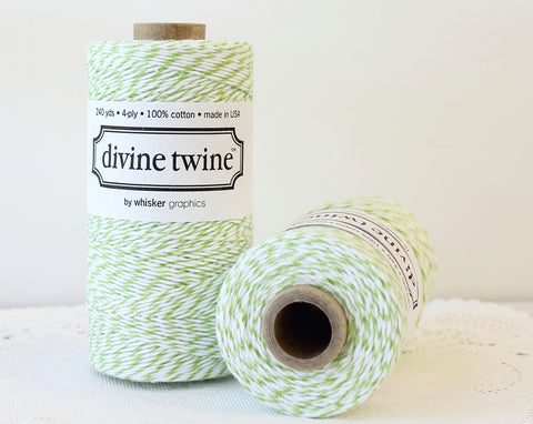 Mint Green Stripe Divine Twine