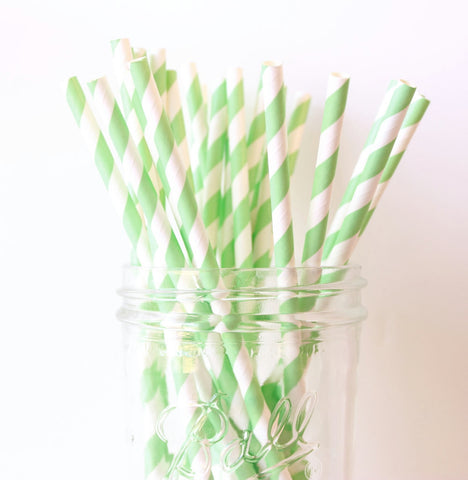 Mint Green Stripe Paper Straw