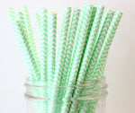 Mint Green Chevron Paper Straw