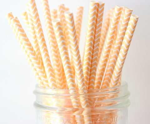 Peach Chevron Paper Straw