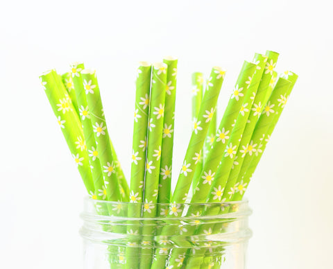 Green Daisy Paper Straw